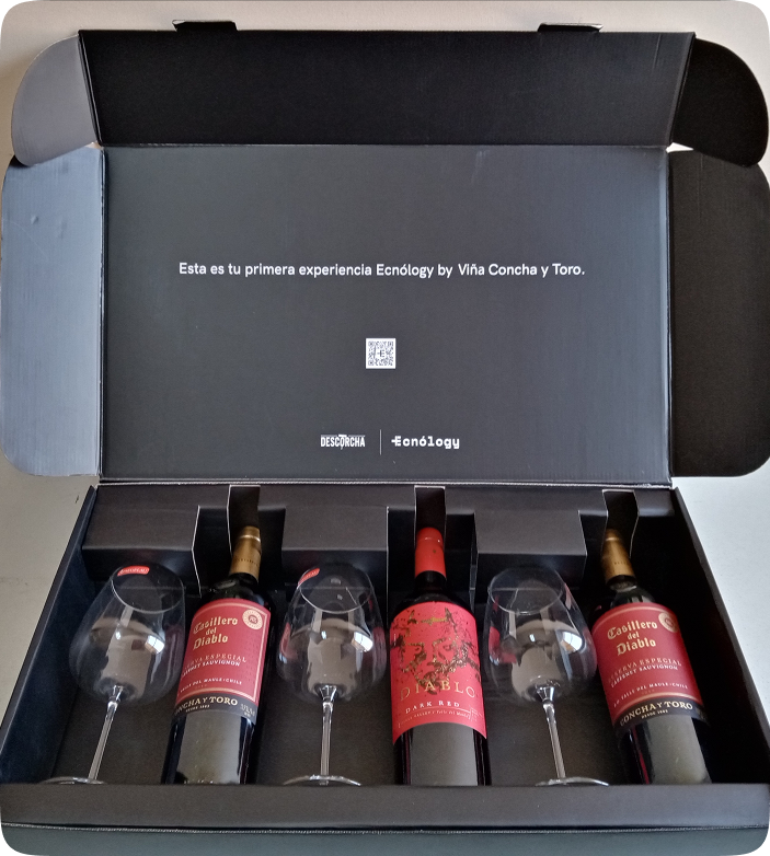 Cajas Carton Concha y Toro1 (1)
